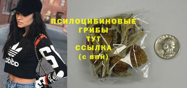 прущие крисы Дмитровск